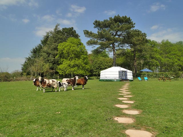 Breizh Yourte Location Yourte Morbihan