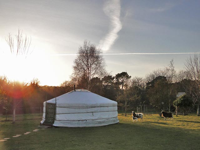 Breizh Yourte Location Yourte Morbihan