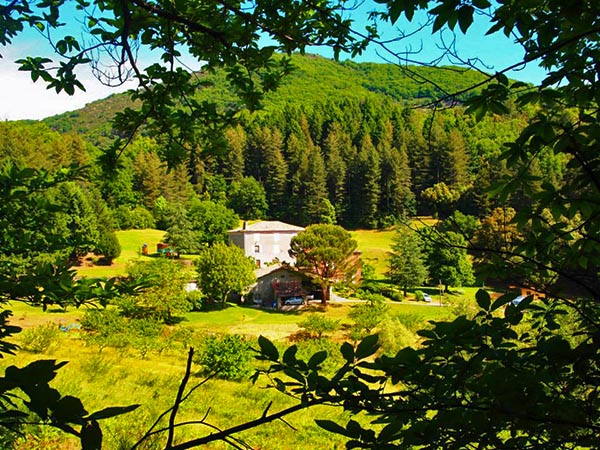 La Yourte du Mas du Pestrin Location Yourte Ardèche