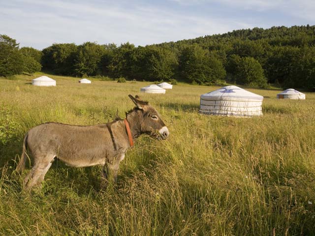 Les Dolines de Longviala Location Yourte Lozère